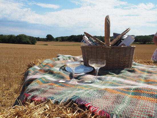 picnic blanket in summer. Countryside theme, field with picnic