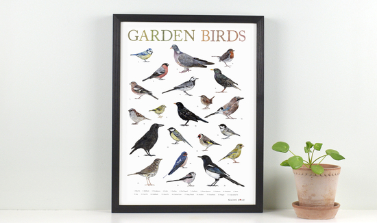 Naomi Stay's Illustrated Garden Birds Print