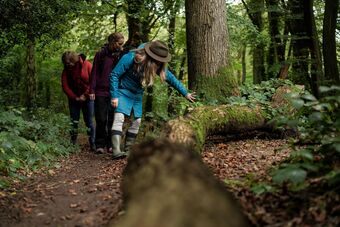 Forest Bathing Experience in Kent connecting with your senses