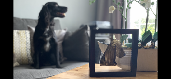 Glass Moments - cocker spaniel with their stained glass portrait