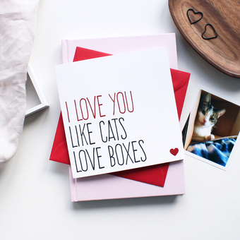 Love you like cat loves boxes greeting card