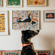 Buster the dog by Katie Whitton Design Prints