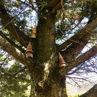 Woodturned trees inspired by nature