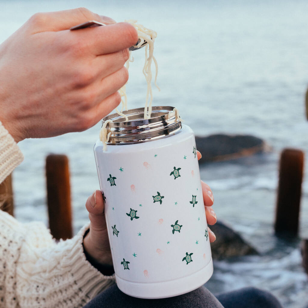 Turtles Print Food Flask