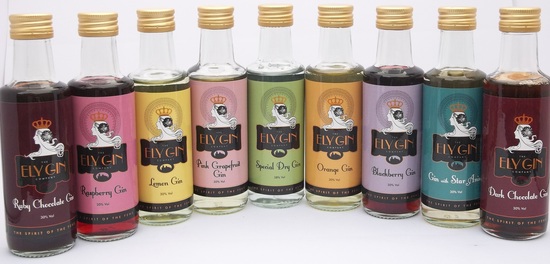 Ely Gin flavour range