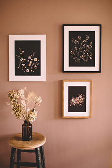 Floral Fine Art Prints Gallery Wall