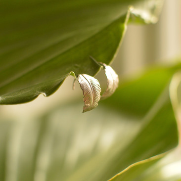 silver banana leaf earrings
