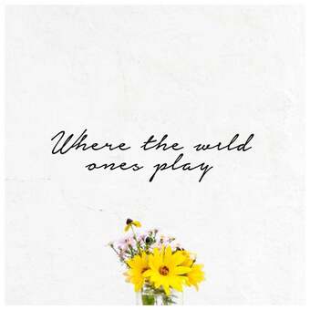 Where the wild ones play wall art
