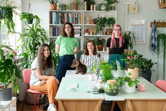 Meet the team!