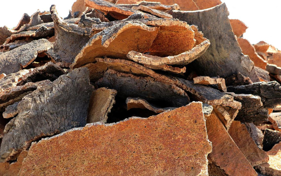 Harvested Cork Bark