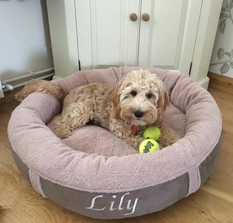 Personalised dog beds
