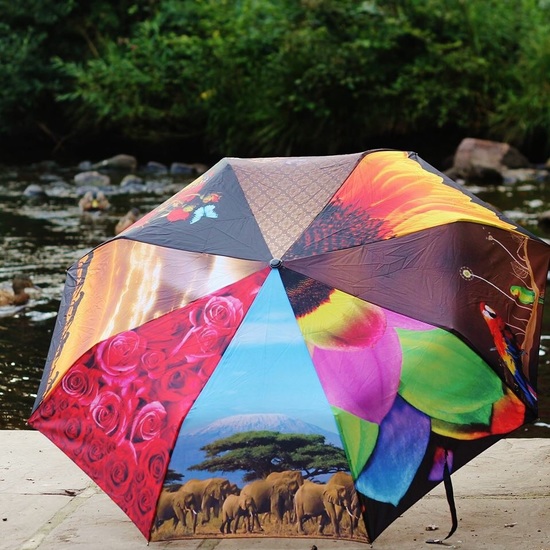 umbrella.bella