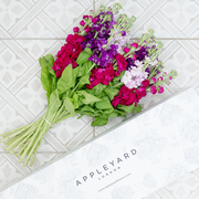 A bouquet of pink purple and white stocks lie on a patterned tile floor next to an appleyard branded delivery box