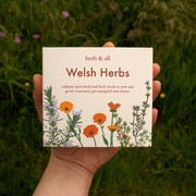 grow your own herbs seed kit