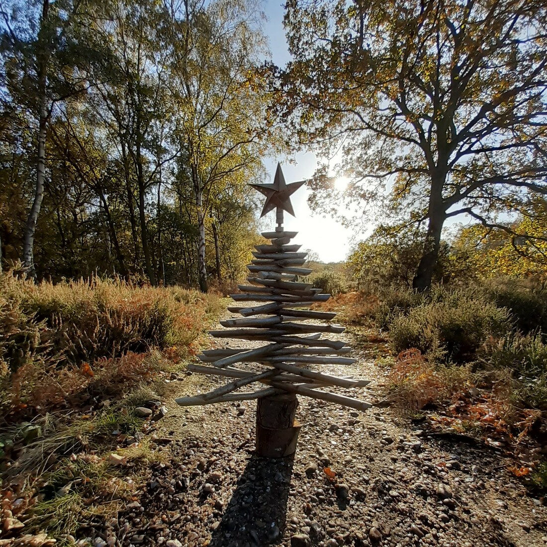 Eco Christmas Tree Storefront