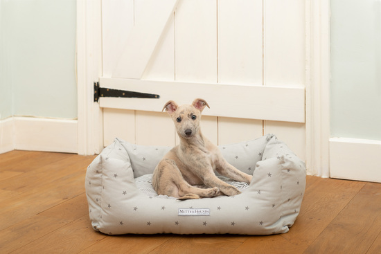 Luxury dog beds harrods hotsell