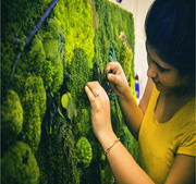 Handmade moss walls