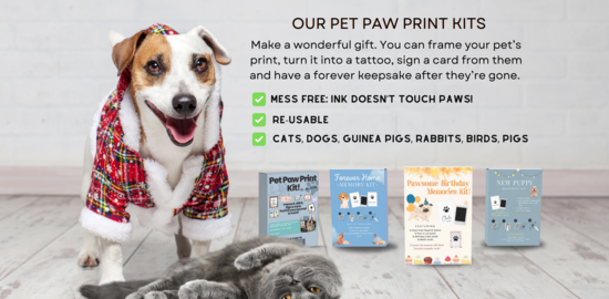 A dog and cat next to four Pet Paw Print Kits from the PawPrints Collection