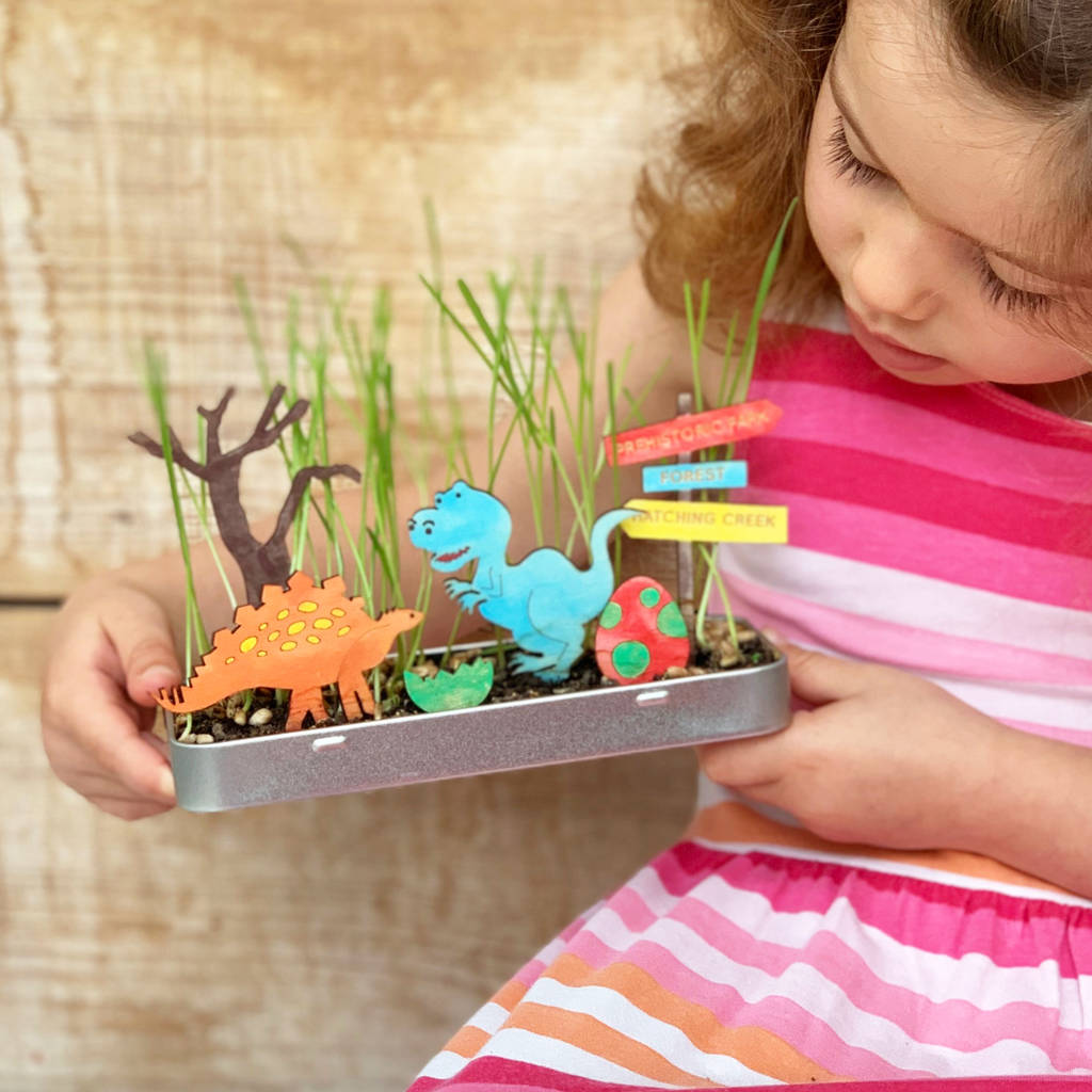 Cotton Twist Personalised Make Your Own Dinosaur Garden | 