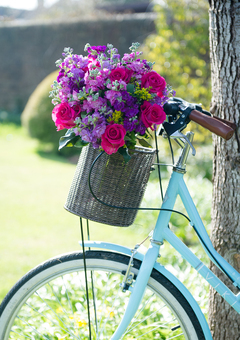 A bouquet of pink and purple flowers in a bicycle basket. The bike is outside in a green garden and is blue in colour