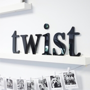 Twist Studio Logo