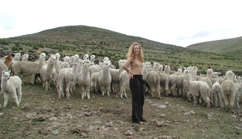Sam on Alpaca Farm near Surco Peru