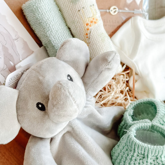 Elephant Comforter