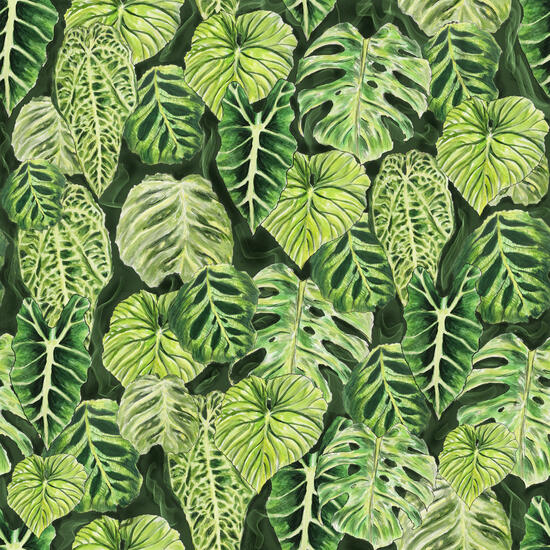 Leafy Houseplant Pattern