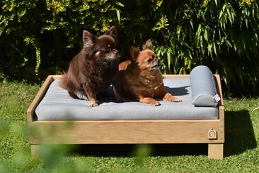Casper and Frankie on our Hand Crafted Solid Oak Framed Dog Bed with Floral Mattress wearing our Characterful Fabric Bows