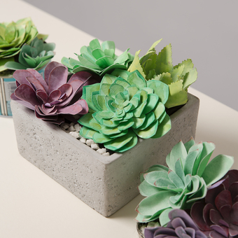 Paper Succulent Making Kit