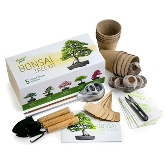 Bonsai Kit Gardening Box