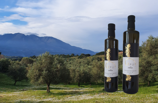 The Opus olive grove and the bottled olive oil.  Brand image.