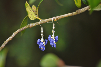 Iris Blue Hook Earrings