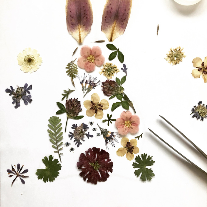 Charlie Presses Flowers | Storefront | notonthehighstreet.com