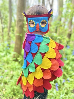 Robin's Bobbins Rainbow Bird Costume