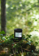 Forest Bathing Candle by Wild Planet Aromatherapy