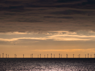 Coastal scene East Sussex; Wind farms