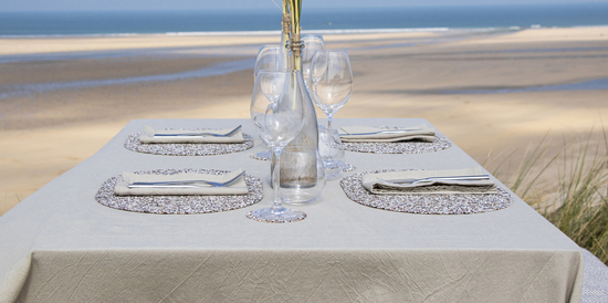 Beach Clean Tableware