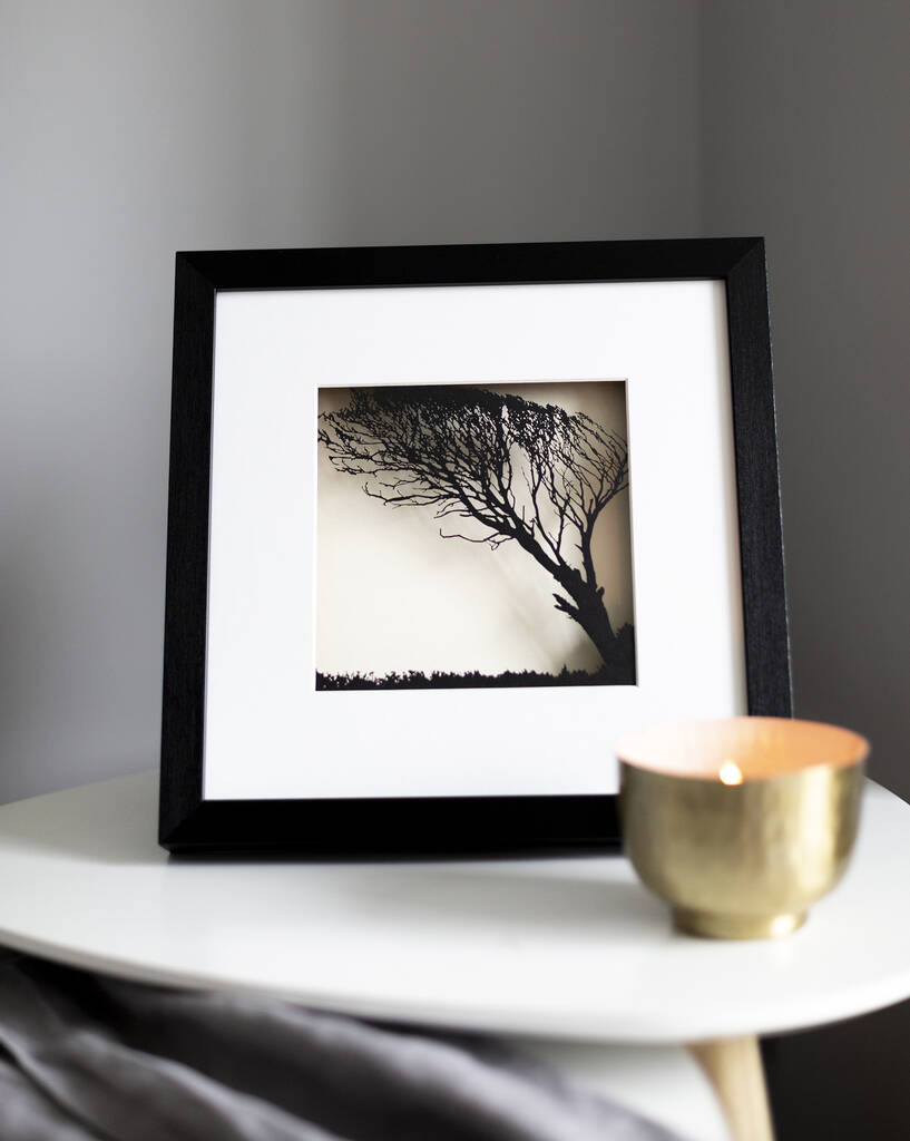 Framed Paper Cut Windswept Tree Artwork | Artwork | Framed |