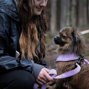 a woman and dog in the woods, dog wearing lilac lead and harness