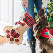 pet stocking and bandana