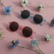 Leosun pink and blue semi flexible sunglasses