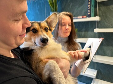 An image of two owners holding their Corgi Puppy. The girl is holding a piece of paper with the stamp on it. She is bringing odin's paw to the stamp. 