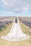 Lace veil in a lavender field