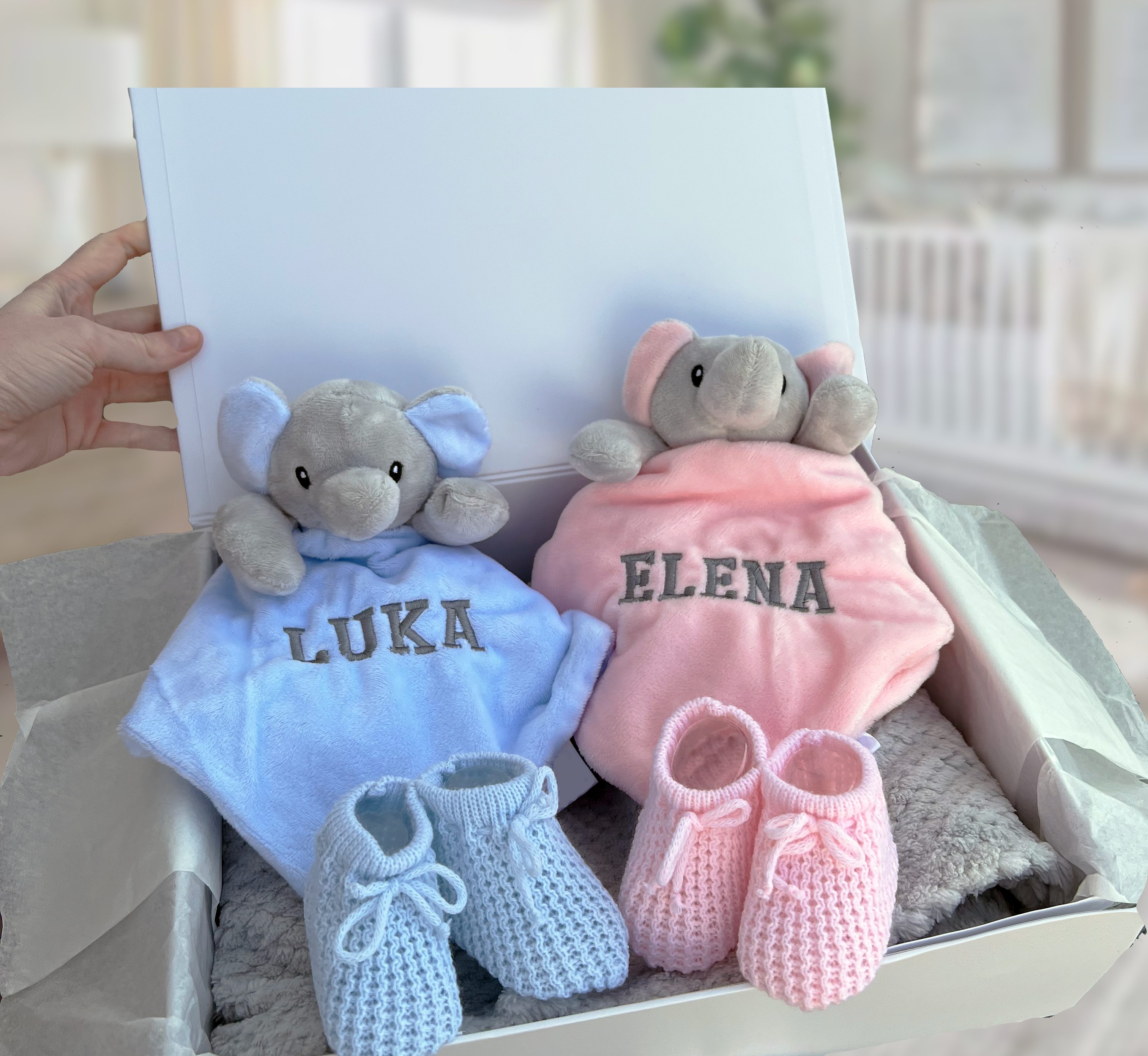 Twin Elephant Baby Gift