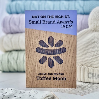 We are thrilled to announce that Toffee Moon has won the 'Above and Beyond' award at the NOTHS Small Brand Awards 2024!