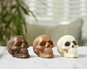 Solid chocolate skulls