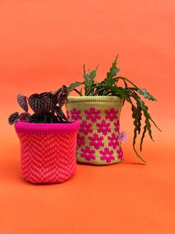 Mini and Medium Pot Covers styled with plants.
