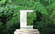 Organically Grown Moringa Tree used in preparing our Organic Moringa Powder