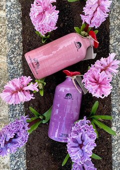 Hand made, hand painted pink and purple terracotta jars containing our organic extra virgin olive oil. Made in Puglia